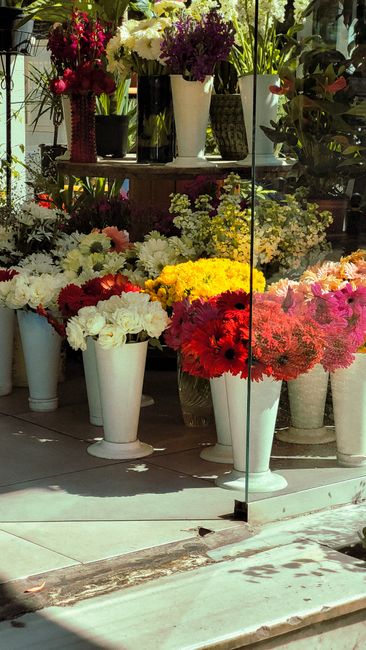 A display of various fresh floral arrangements in white ceramic and plastic vases, featuring a vibrant mix of flowers including white chrysanthemums, red gerbera daisies, yellow chrysanthemums, and pi